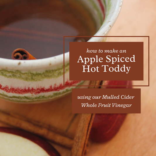 Apple Spiced Hot Toddy Recipe