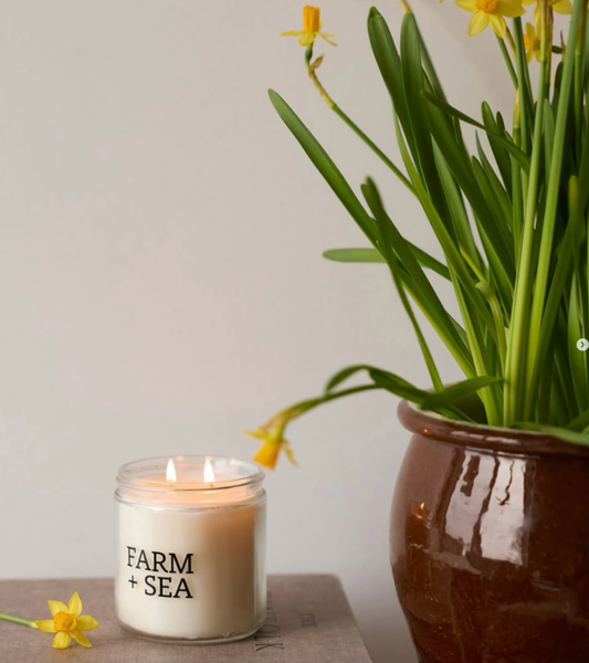Farm + Sea Large Candles