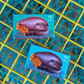 Peanut Butter Ganache Lobster Chocolate: Dark