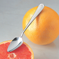 Grapefruit Spoon