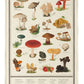 Organic Cotton Tea Towel