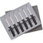 Anthem Serrated Steak Set