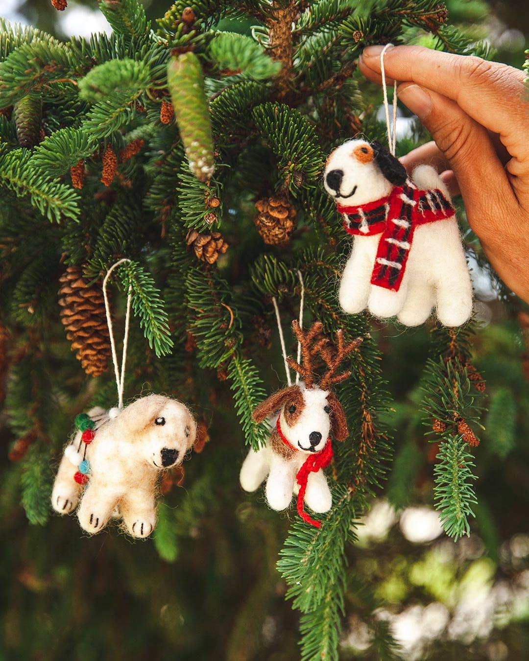 Pup Ornament: Max