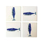 Whale Coaster Set