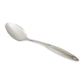 Stainless Steel Spoon