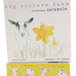 Daffodil Goat Milk Caramel Box: All 8 Flavors