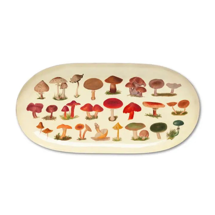 Oval Enamel Tray