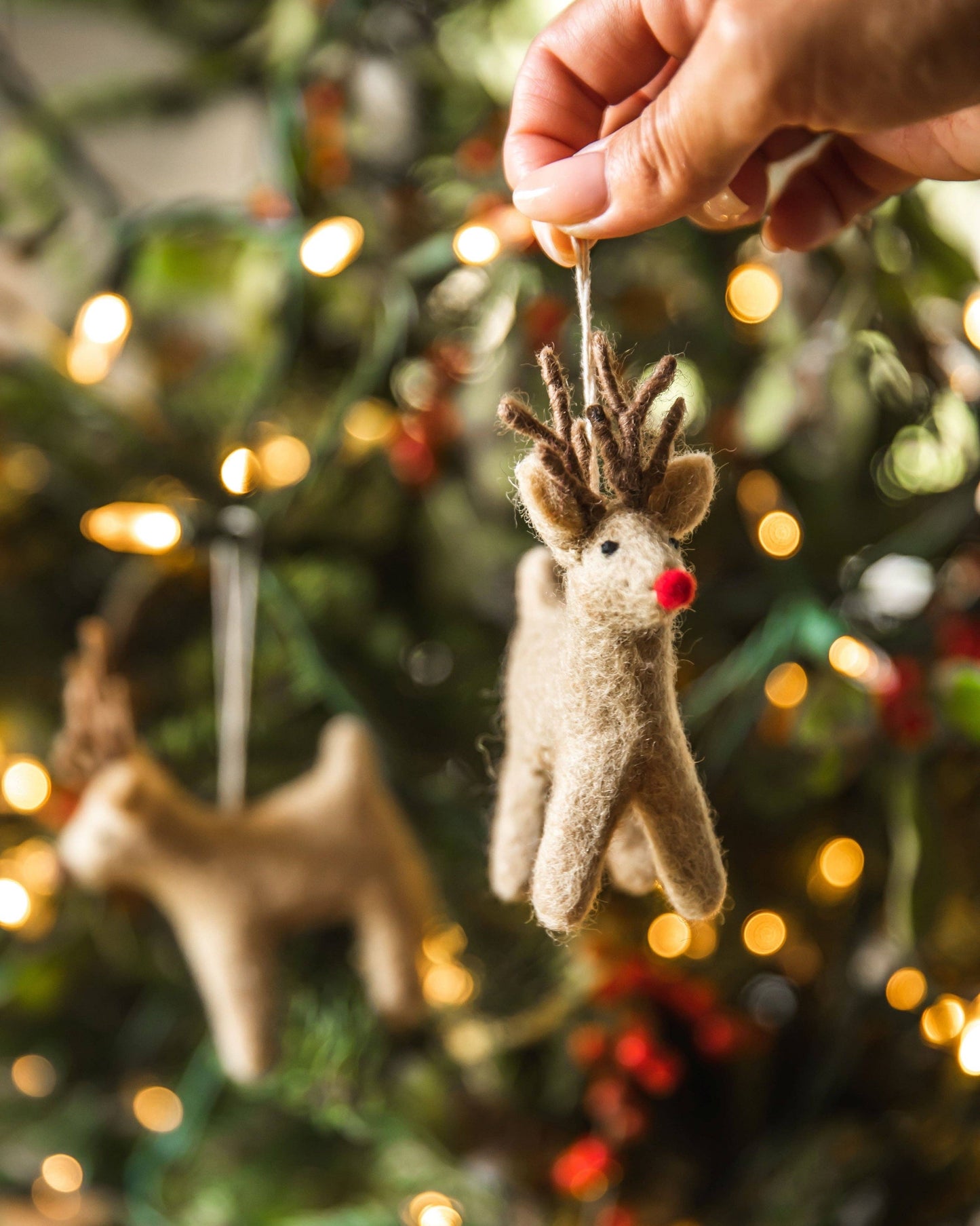 Rudolph Ornament