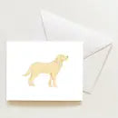 Sarah Fitz Notecards