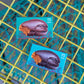 Peanut Butter Ganache Lobster Chocolate: Milk