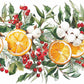 Cocktail & Beverage Seasonal Napkins