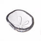 Sand Dollar Bowl in Gift Box