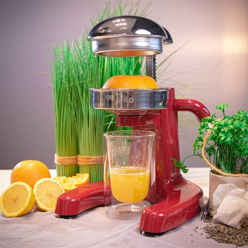 "Positano" Citrus Press