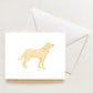 Sarah Fitz Notecards