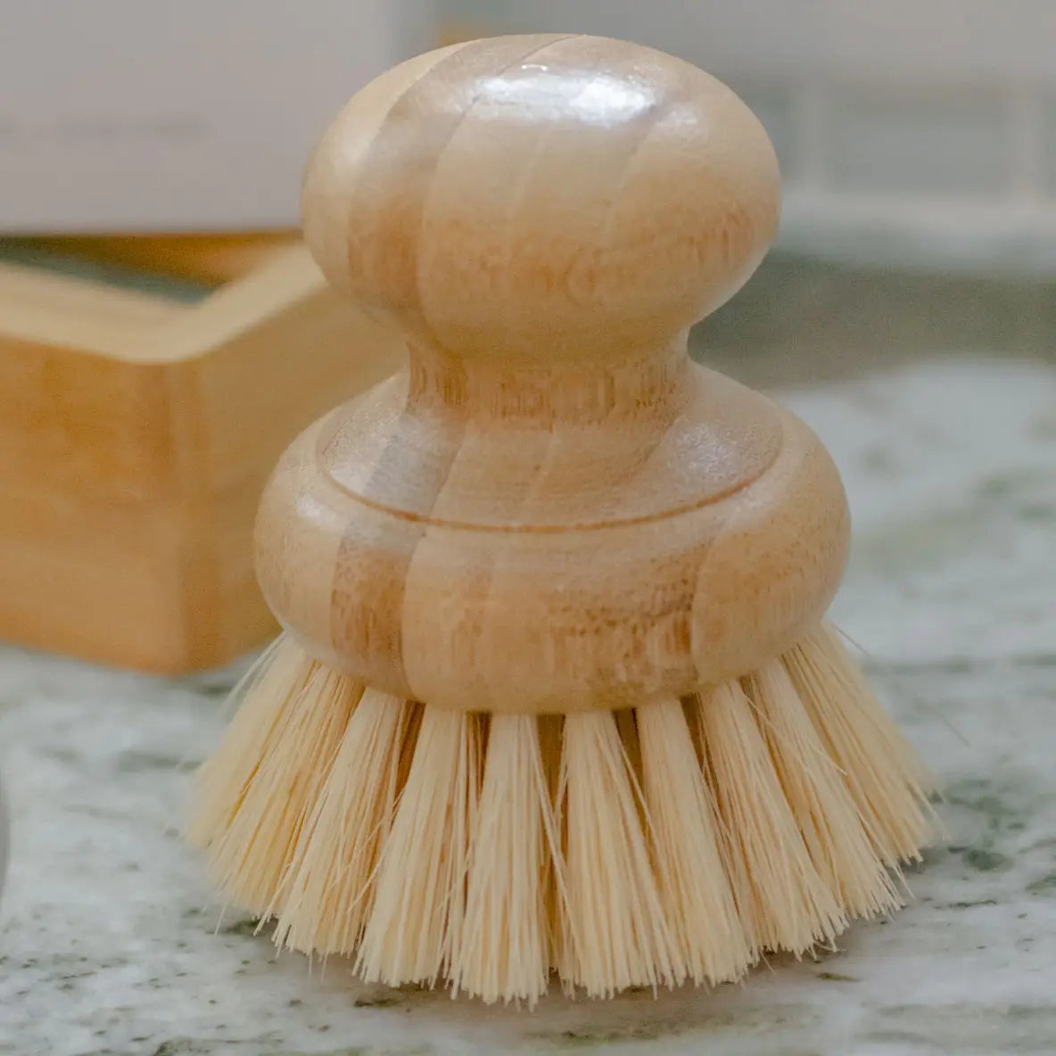 Wooden Handle Dish Brushes